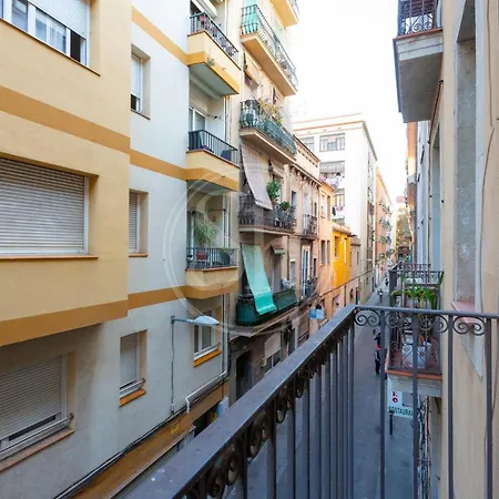 Estudio En Gracia * Barselona